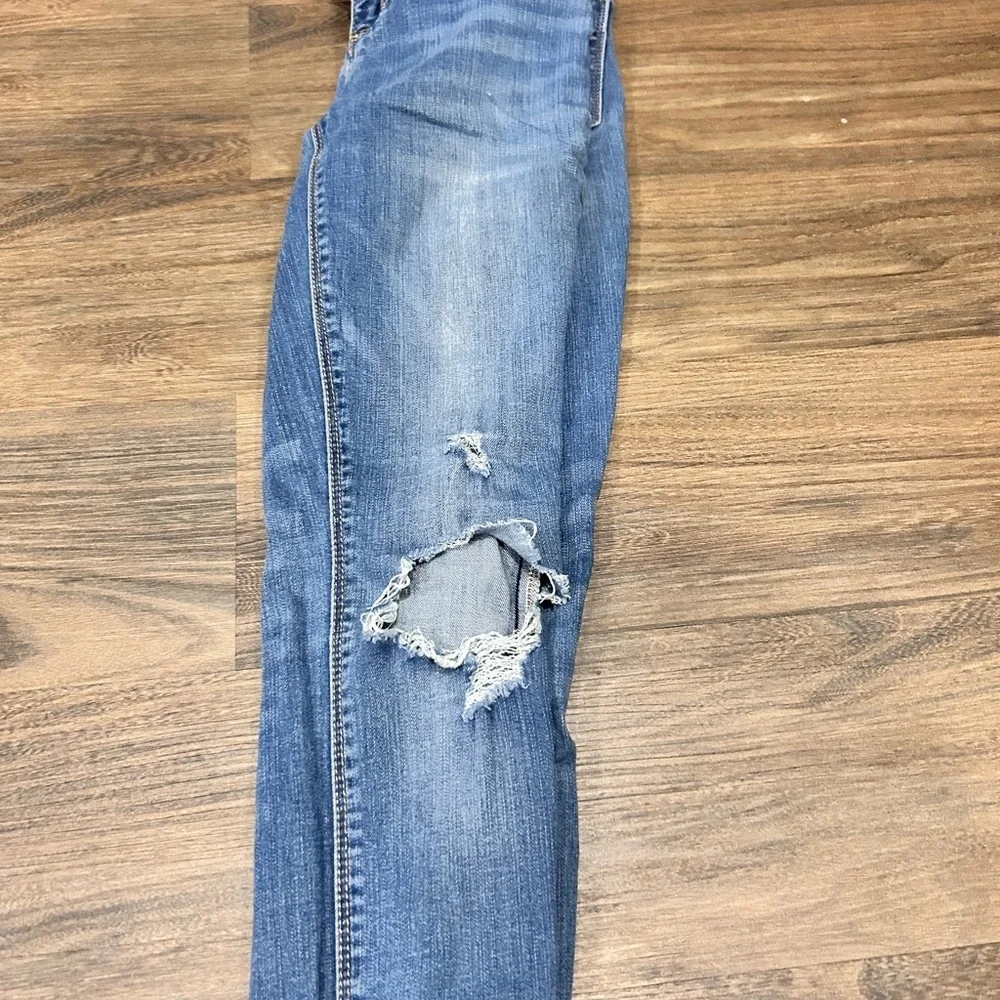 Indigo Rein Distressed  Jeans